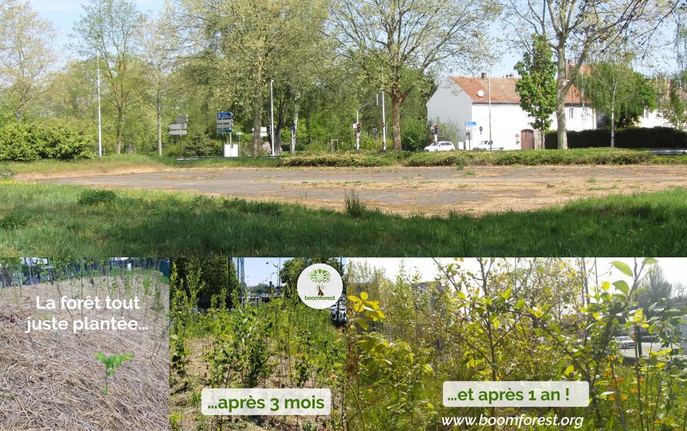 Image budget participatif