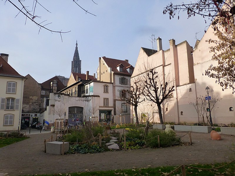 Image du budget participatif