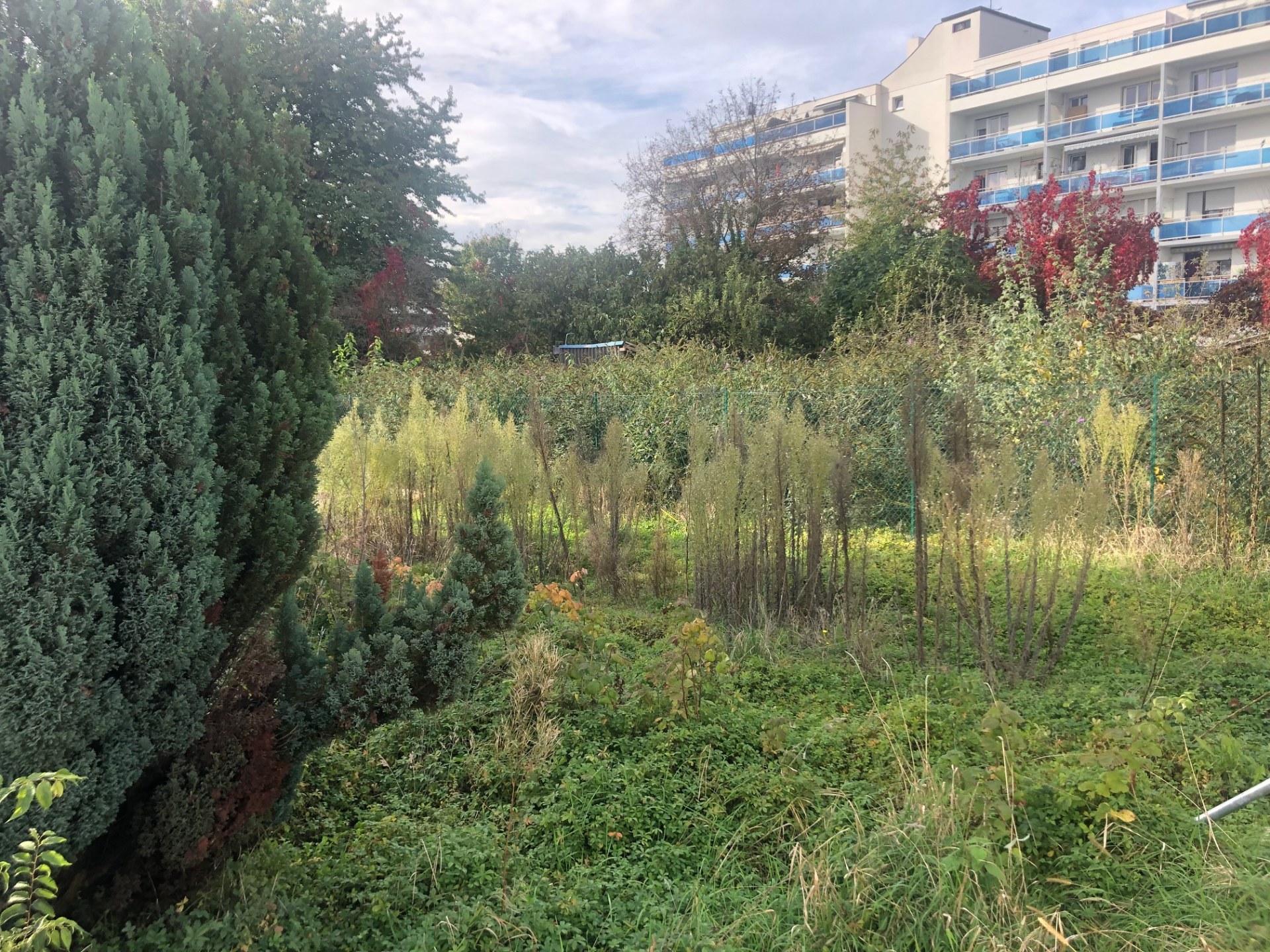Image du budget participatif