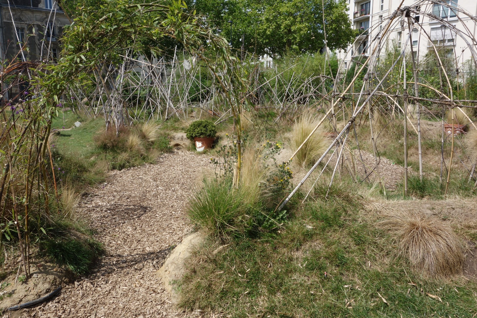 Image du budget participatif