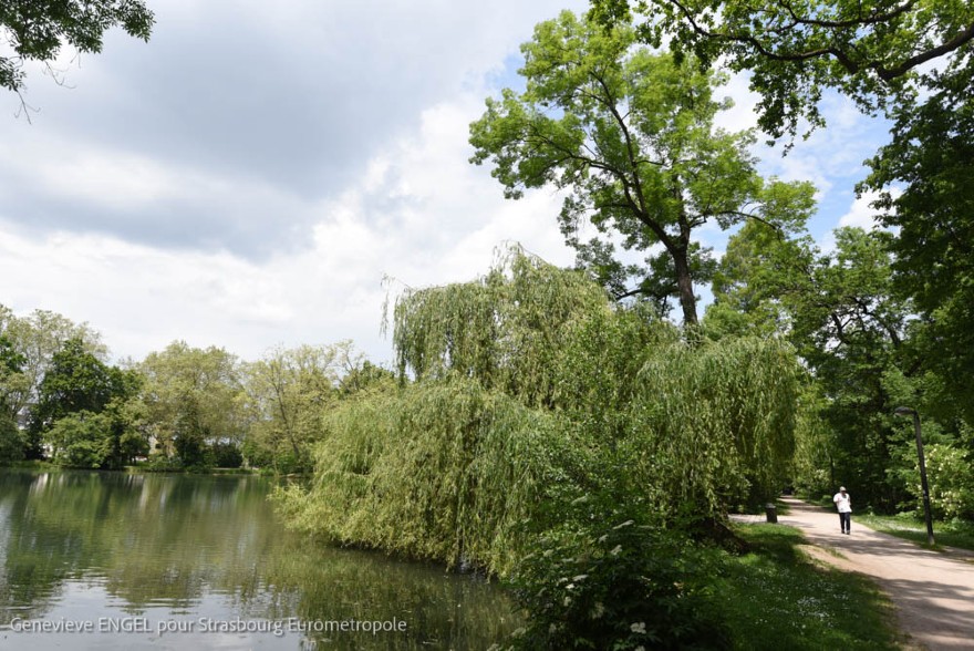 Image du budget participatif