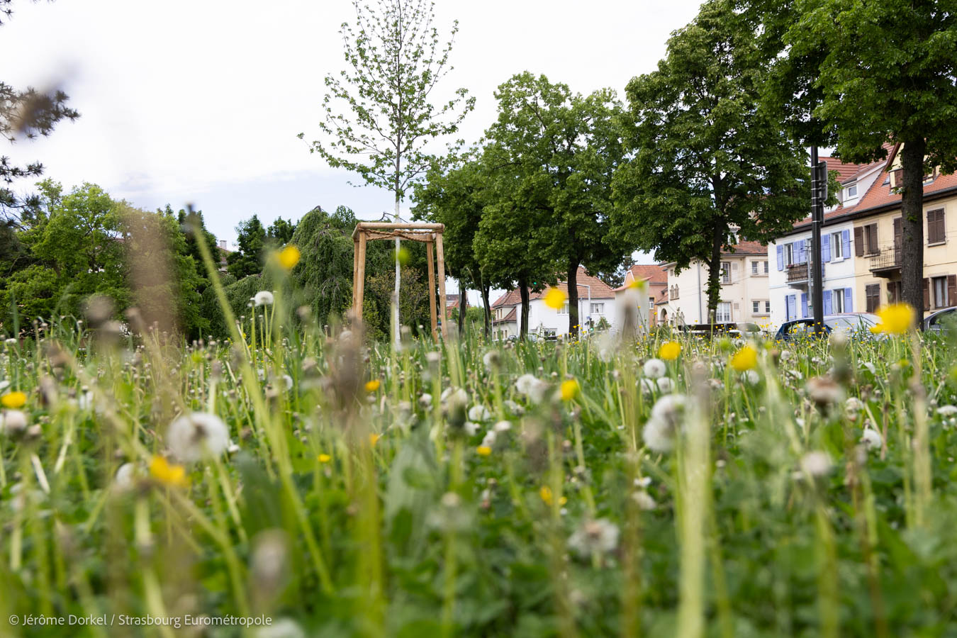 Image du budget participatif